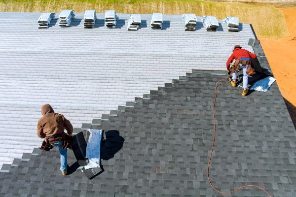 Shingles Repair